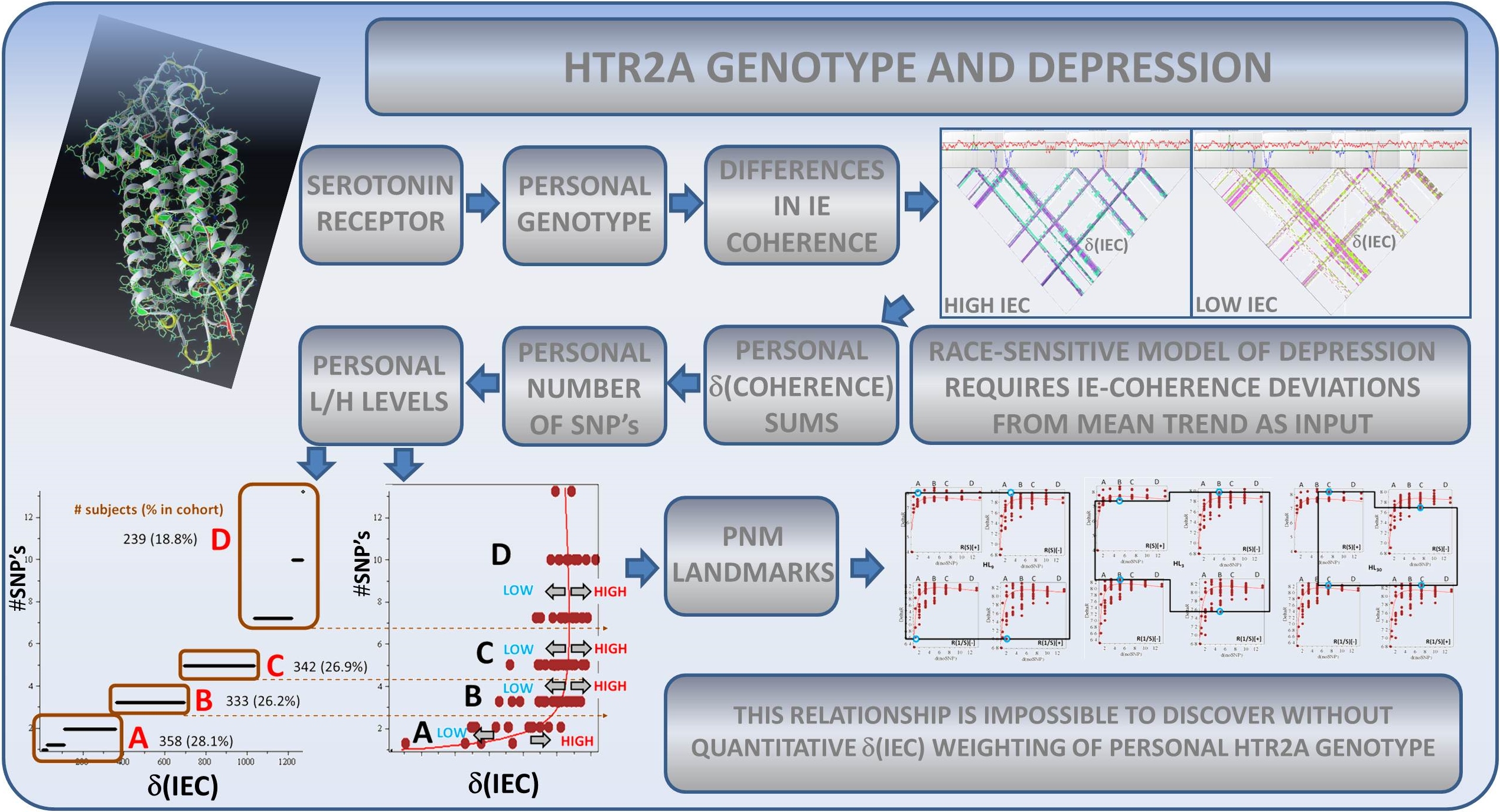 HTR2A serotonin-receptor variants related to depression through incorporation-entropy coherence patterns