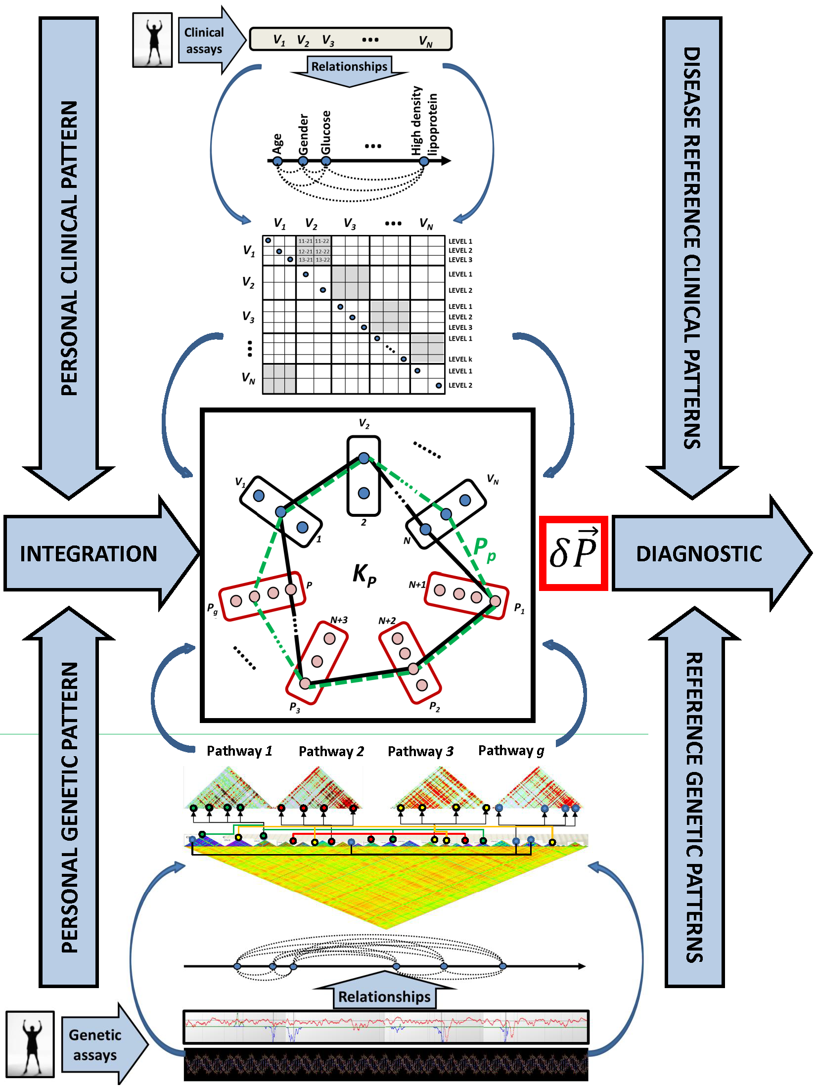 Scheme of the Network Phenotyping Strategy linking personal genome status to clinical context