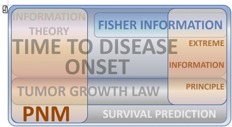 time disease onset fisher information