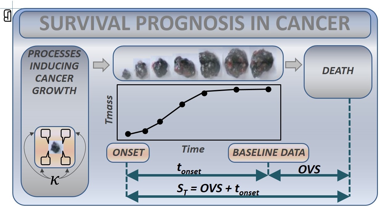 Fisher information analysis of tumor mass — figure 1