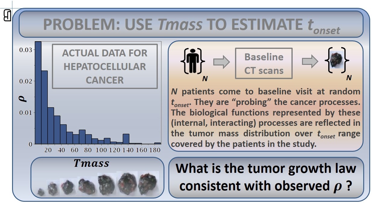 Fisher information analysis of tumor mass — figure 2