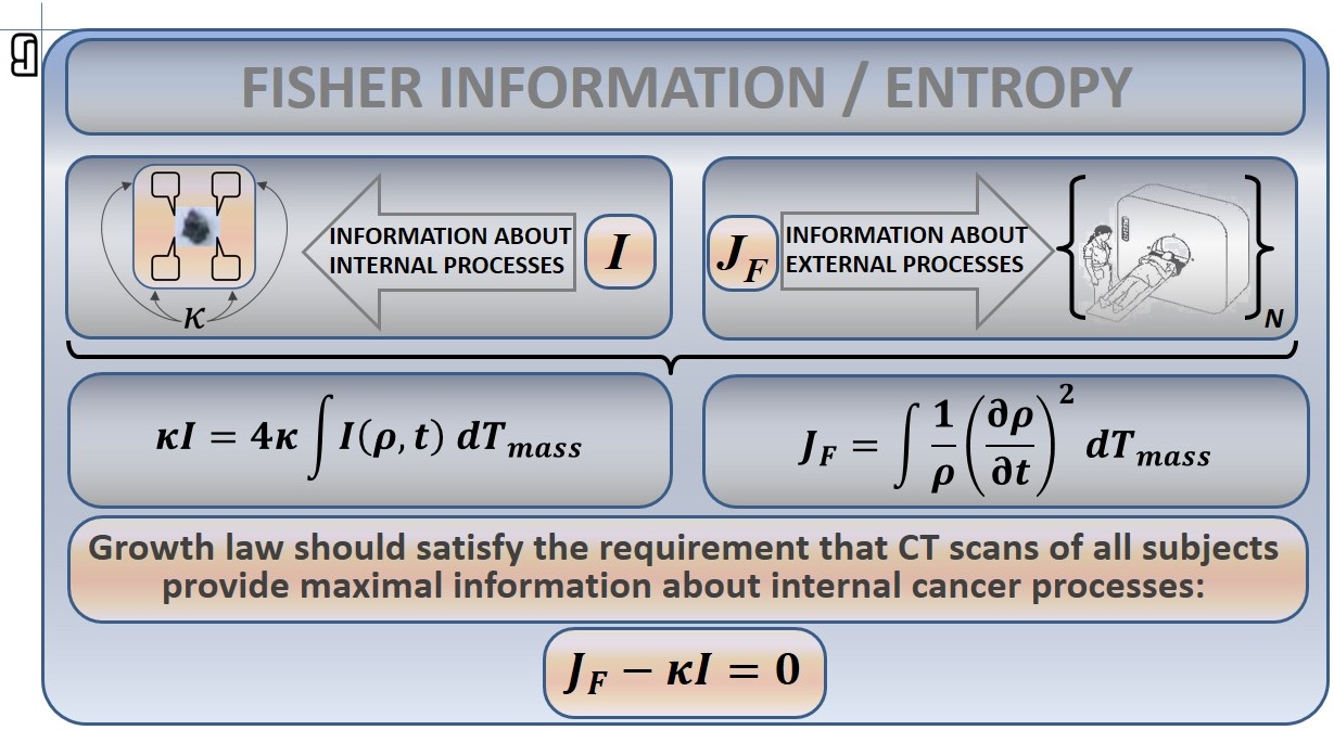 Fisher information analysis of tumor mass — figure 3