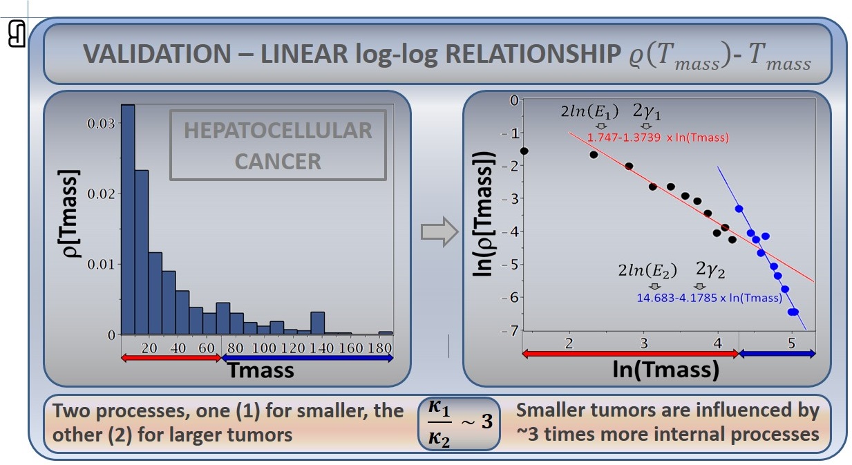 Threshold tumor mass and tumorigenesis rate ratio