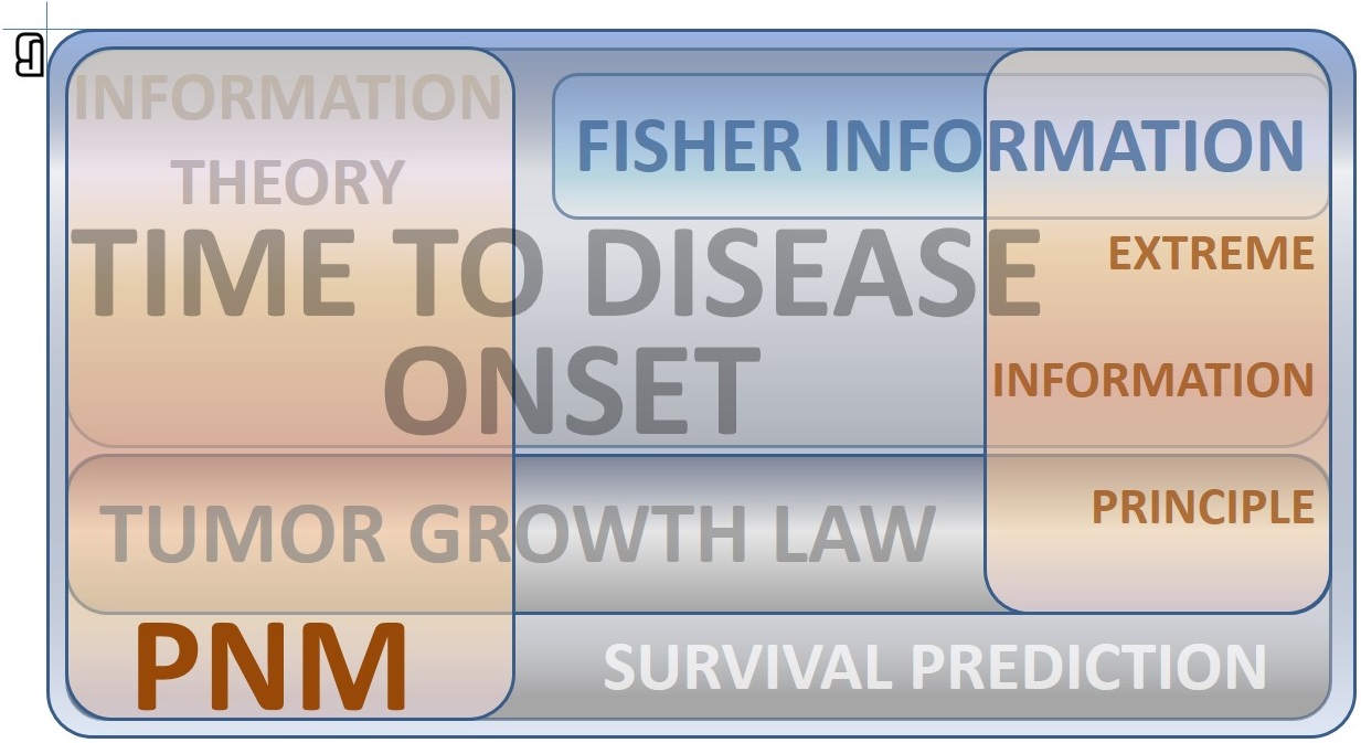 Time to disease onset and Fisher information analysis